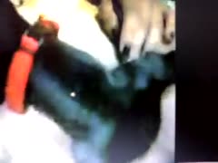 In this lively porn video, a beauty enjoys oral sex with a brute, making her feel even more alone.